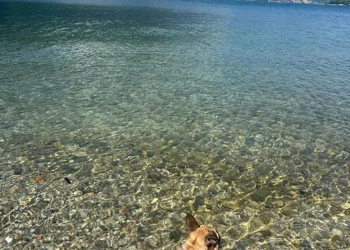 Leon - La Casa Di Leon Apartmán *